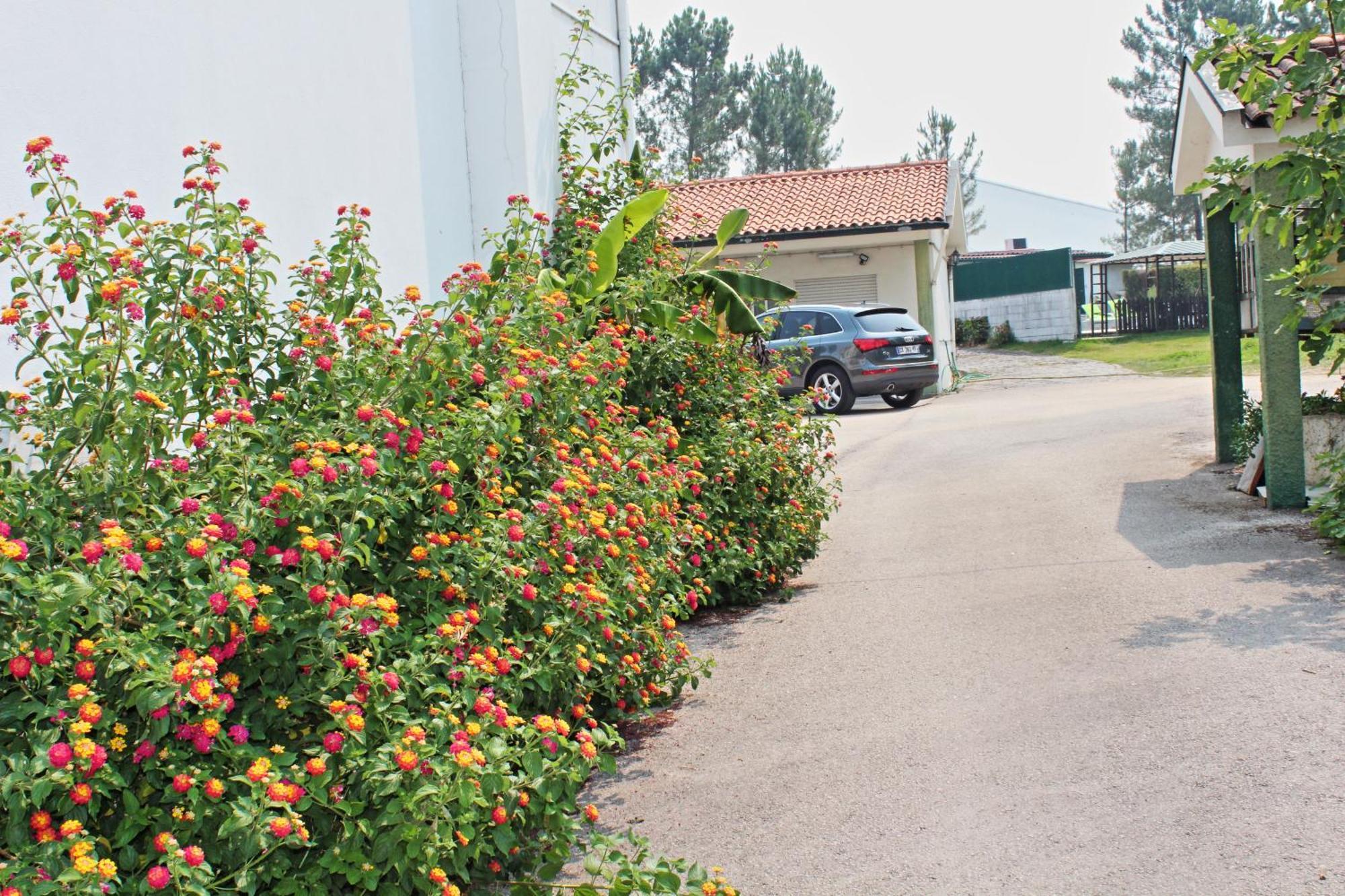 Residencial Pinho Verde Mealhada Dış mekan fotoğraf